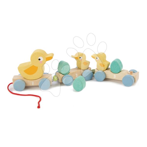 Drevený vláčik na ťahanie Pull Along Ducks Tender Leaf Toys s kačičkami a vajíčkami od 18 mesDrevený vláčik na ťahanie Pull Along Ducks Tender Leaf Toys s kačičkami a vajíčkami od 18 mes